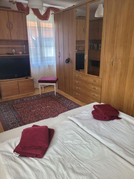 Ferienwohnung Korneuburg Bei Wien -1 Bagian luar foto